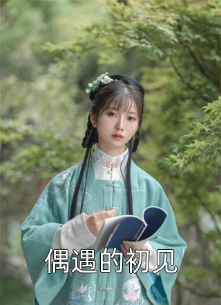 高质量小说官婿美人香