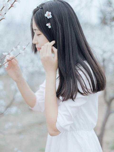 春夜绵长，花枝满墙